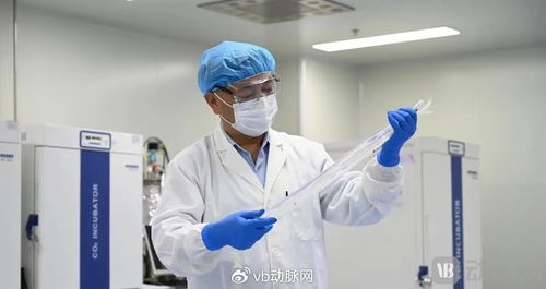 國產生物型人工血管獲創新通道認可，心血管治療迎來新突破